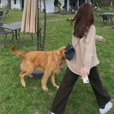 传教士第二季