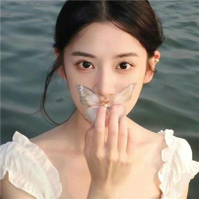 美国派:高潮再起