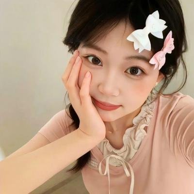 公主保卫战